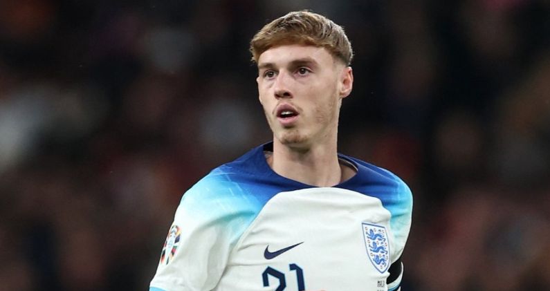 标赛的赛场 标赛的赛场