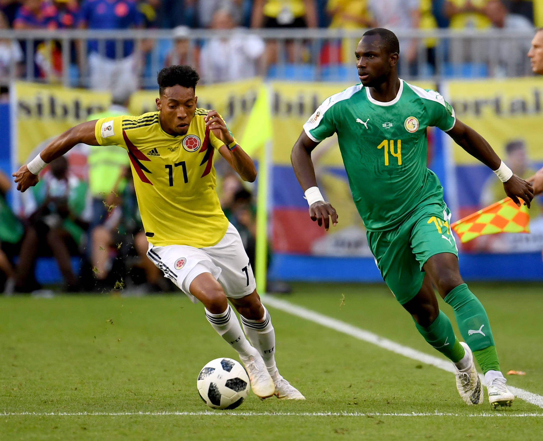 结合他的多 结合他的多